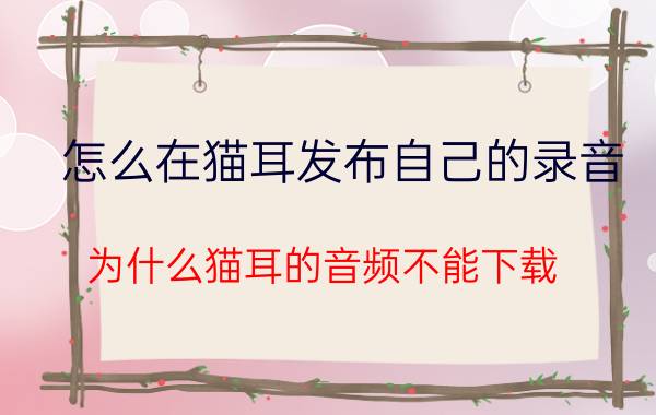 怎么在猫耳发布自己的录音 为什么猫耳的音频不能下载？